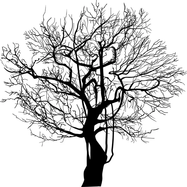 Black bare tree — Stock Vector