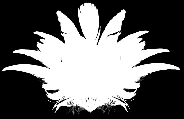 Plumes fan silhouette — Image vectorielle