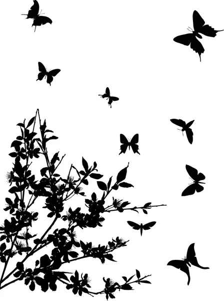Fleurs et papillons de cerisier — Image vectorielle
