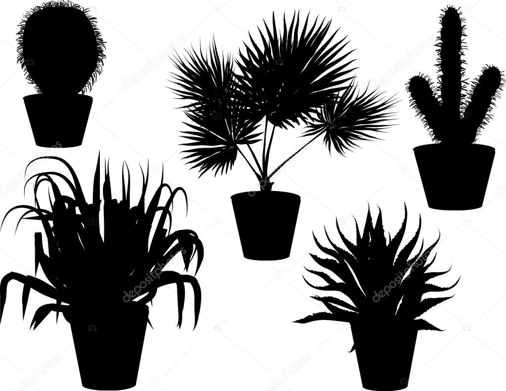 plants in pots silhouettes
