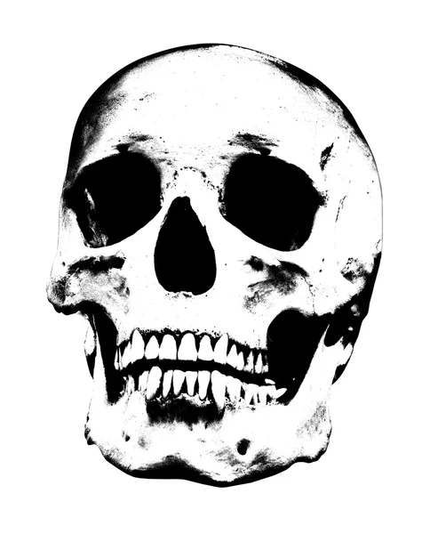 Single black skull — Stock Photo, Image