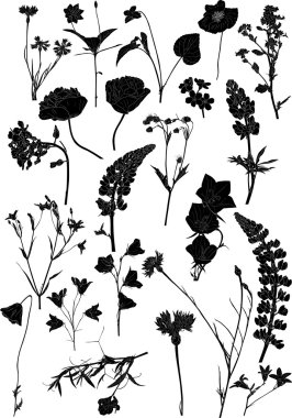 kır çiçekleri siluetleri