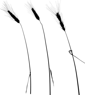 siyah kulaklar siluetleri