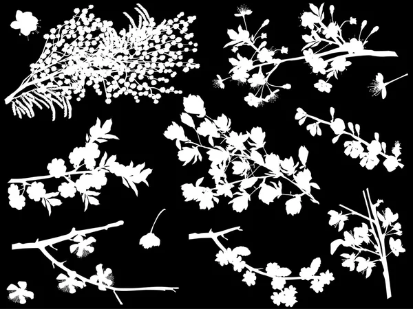 Printemps arbres fleurs branches — Image vectorielle