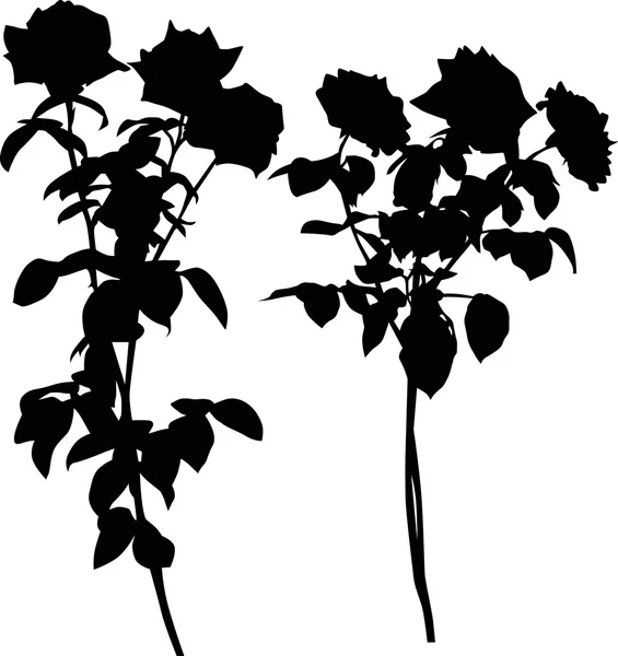 Roses noires silhouettes fleurs — Image vectorielle