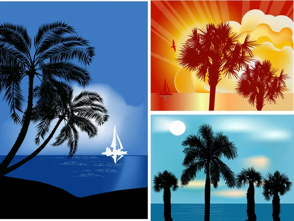 Palm trees near sea — Stock Vector