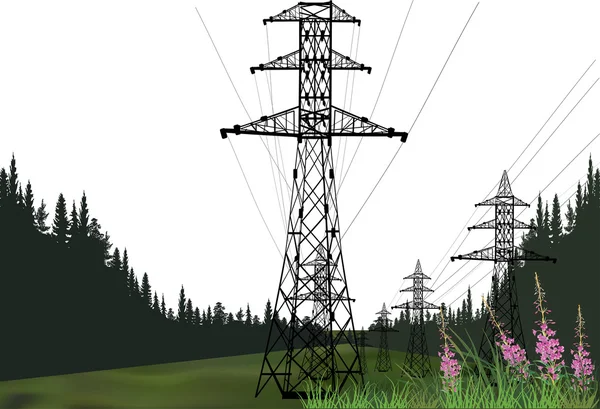 Electric power pylons in forest — Stock Vector