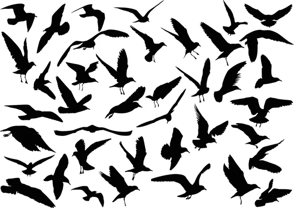 Black gulls silhouettes — Stock Vector