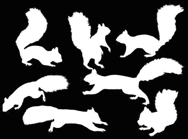 White squirrels silhouettes — स्टॉक वेक्टर