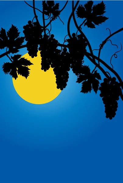 Zwarte wijnstokken en volle maan — Stockvector