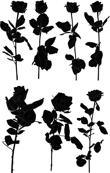 Schwarze Rosen Blumen — Stockvektor