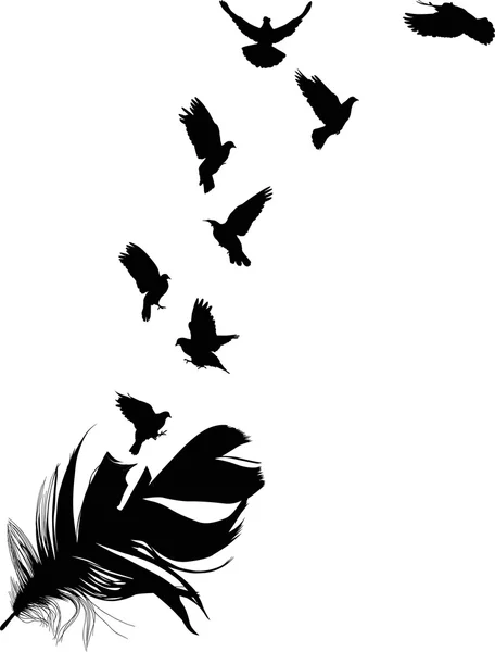 Palomas volando de la silueta de plumas — Vector de stock