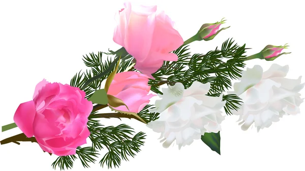 Πράσινο φυτό και τριαντάφυλλα σύνθεση — Διανυσματικό Αρχείο