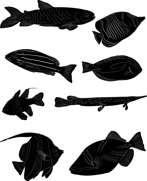 물고기 스케치의 집합 — 스톡 벡터