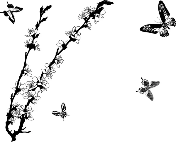 Fleurs et papillons de cerisier — Image vectorielle