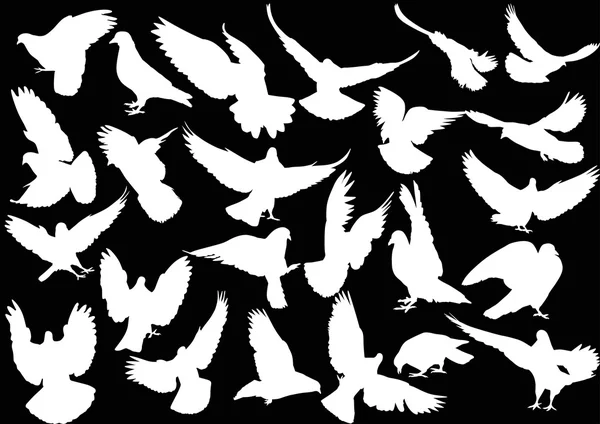 Silhouettes de pigeons blancs — Image vectorielle