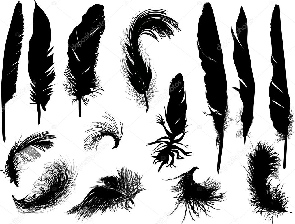 black feathers silhouettes