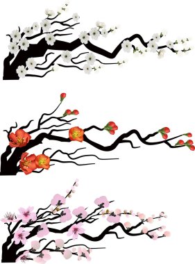 Bahar çiçek dalları