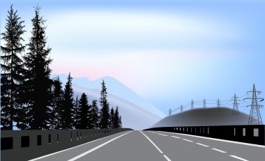 firs ile boş yol