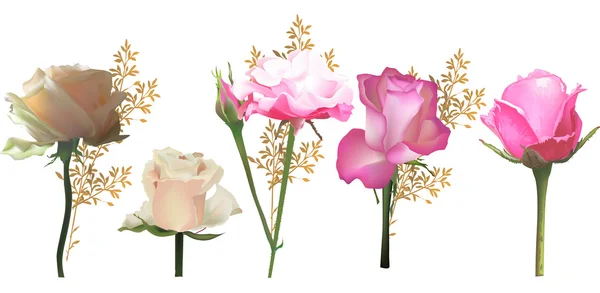 Lätta rosor blommor — Stock vektor