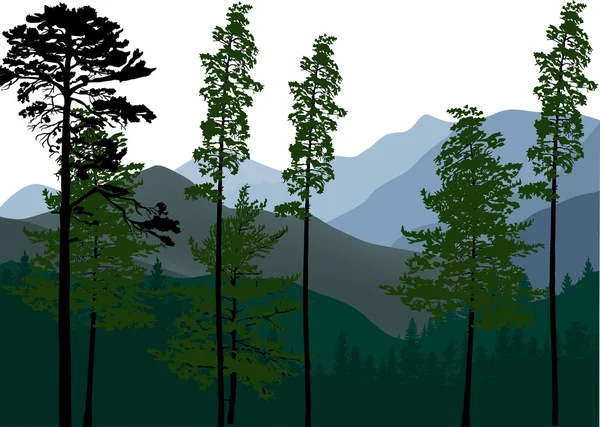 Bosque verde en las montañas — Vector de stock