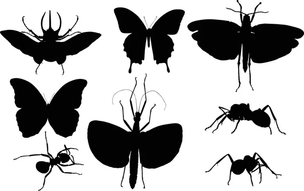 Black insects silhouettes — Stock Vector