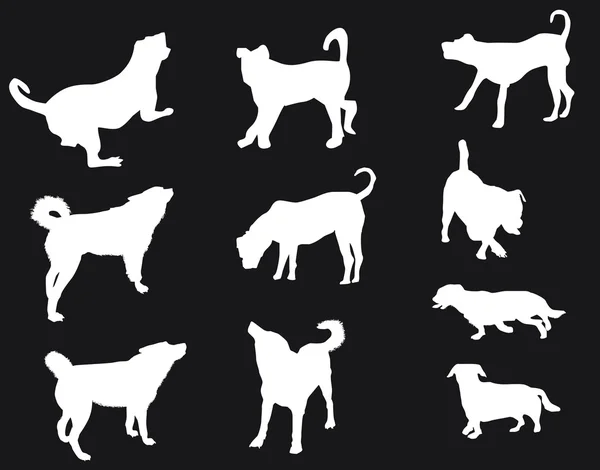 White dogs silhouettes — Stock Vector