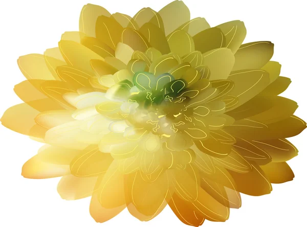Flor amarilla grande — Vector de stock