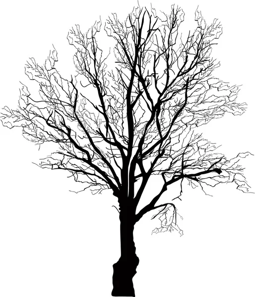 Arbre nu noir — Image vectorielle