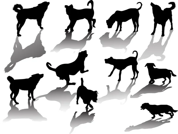 Black dogs silhouettes — Stock Vector