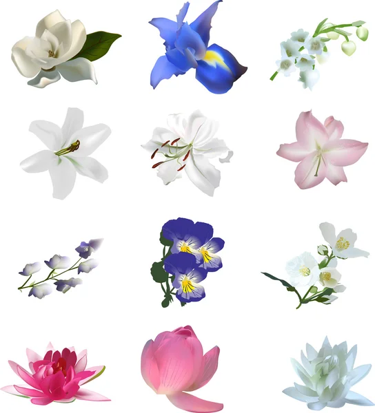 Reeks van kleurrijke bloemen — Stockvector