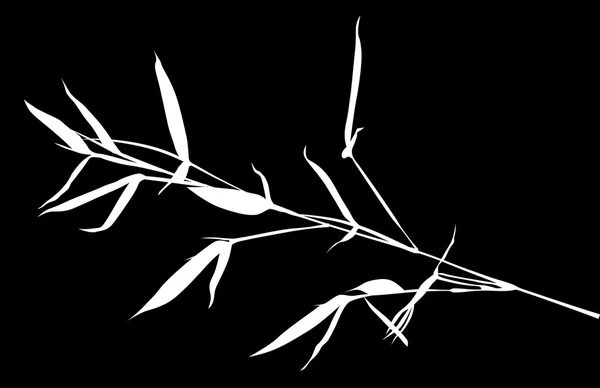Rama de bambú blanco — Archivo Imágenes Vectoriales
