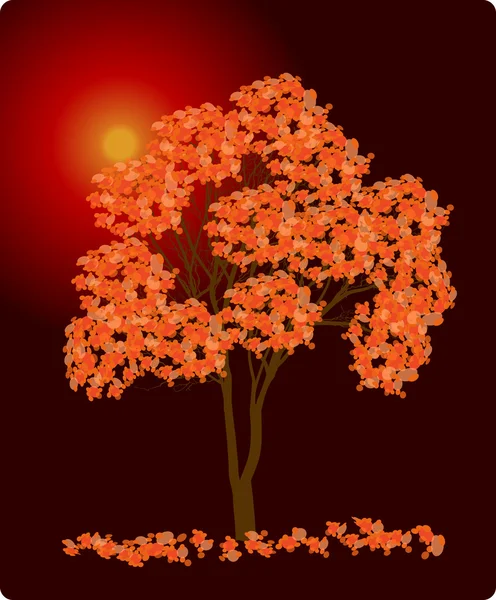 Sonbahar portakal ağacı — Stok Vektör