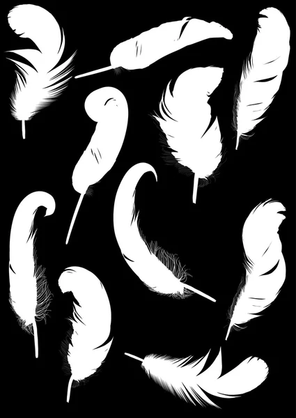 Silhouettes plumes blanches — Image vectorielle