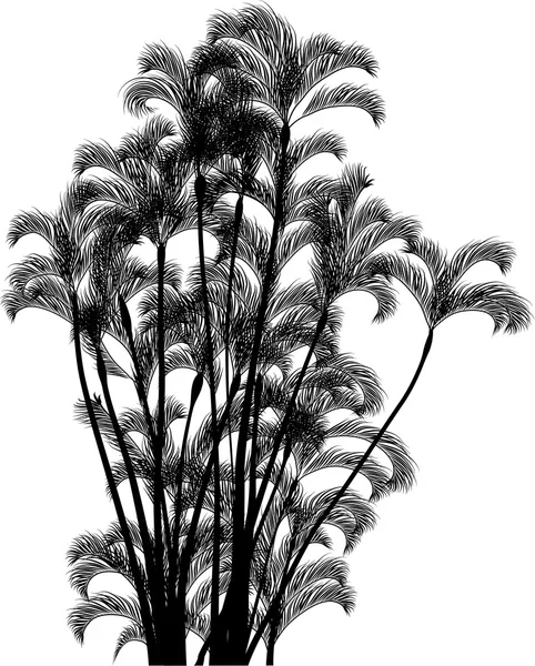 Große Palmengruppe — Stockvektor