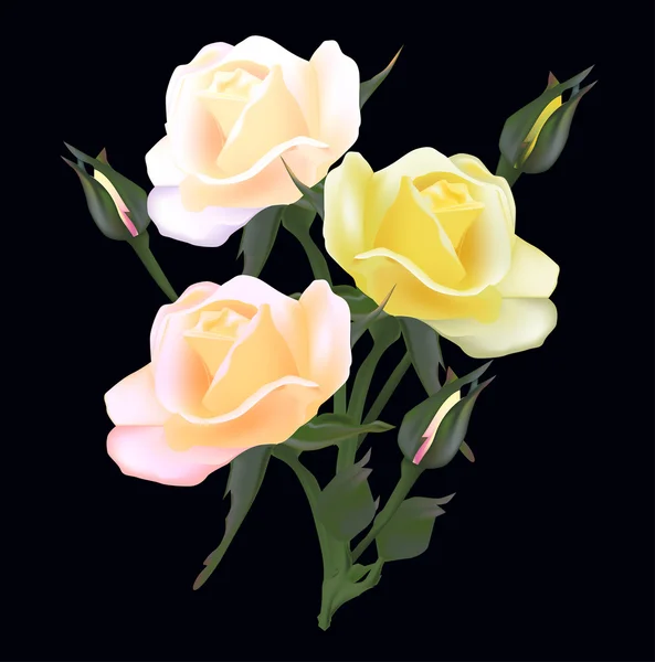 Light color roses — Stock Vector