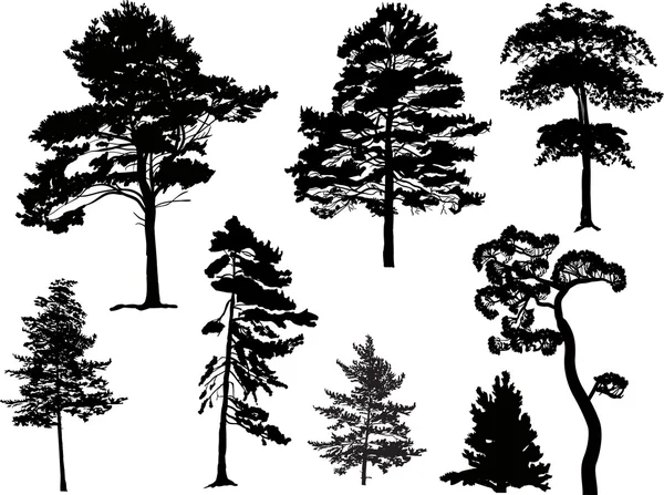 Black trees set — Stock Vector