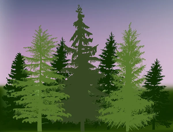 Fir trees forest — Stockvector