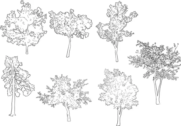 Szkice siedem drzew — Wektor stockowy