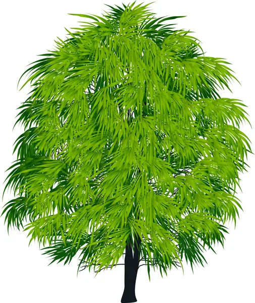 Bright green tree — Stock Vector