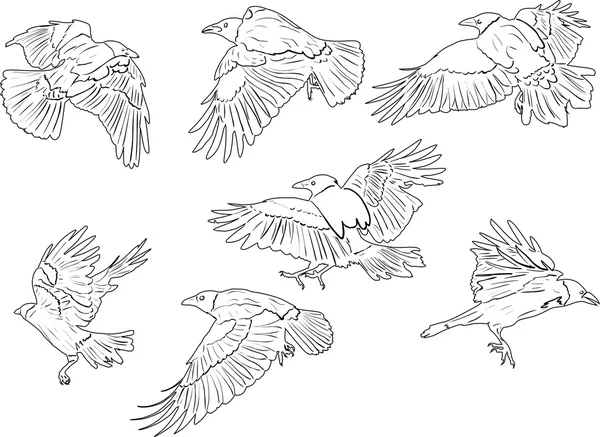Sept silhouettes de corbeaux — Image vectorielle