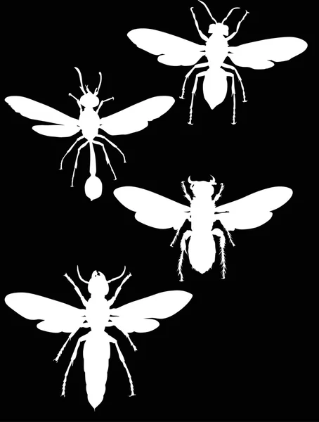 Silhuetas de vespas brancas — Vetor de Stock
