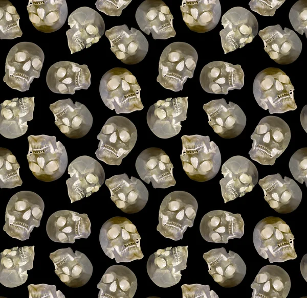 background with old human skulls