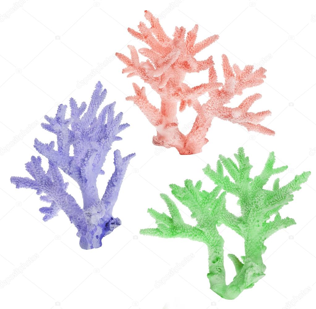 three colorful corals