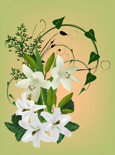 Witte Lelie bloemen — Stockvector