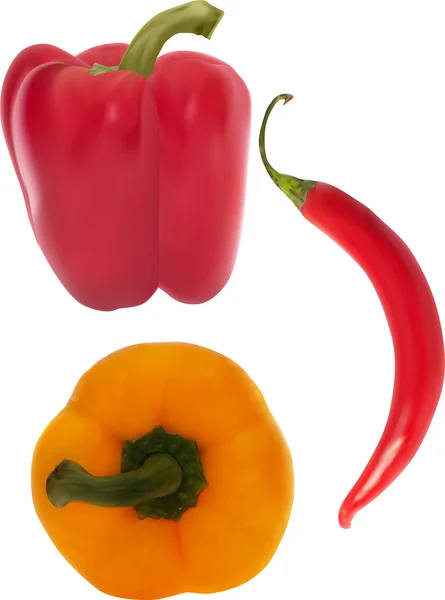 Paprika dan sayuran cabai - Stok Vektor