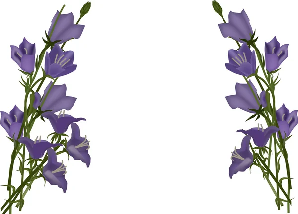 Trossen van lila bloemen — Stockvector