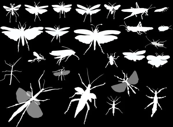 White insects silhouettes — Stock Vector