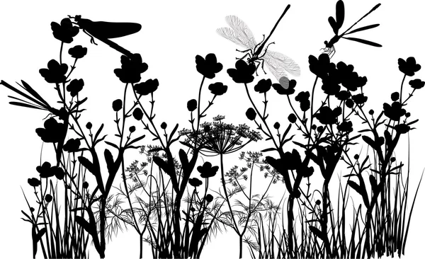 Vážky na divoké květiny — Stockový vektor