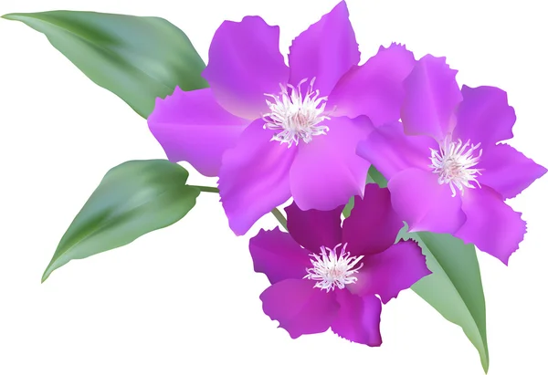 Flores azules grandes — Vector de stock
